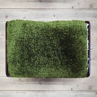 ノッティング(緑)　バタフライスツール用