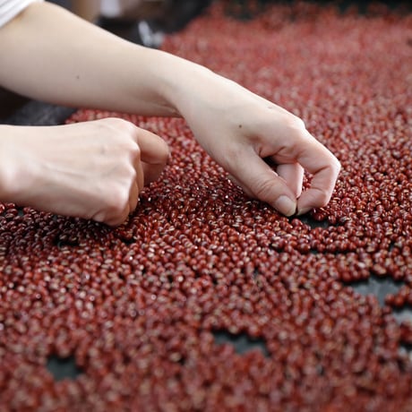令和７年産北海道産小豆10ｋｇ