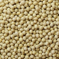 北海道産 大豆25kg 令和6年産北海道産大豆「とよまさり」20kg | まめばたけ