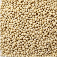 令和４年産北海道産白小豆１ｋｇ
