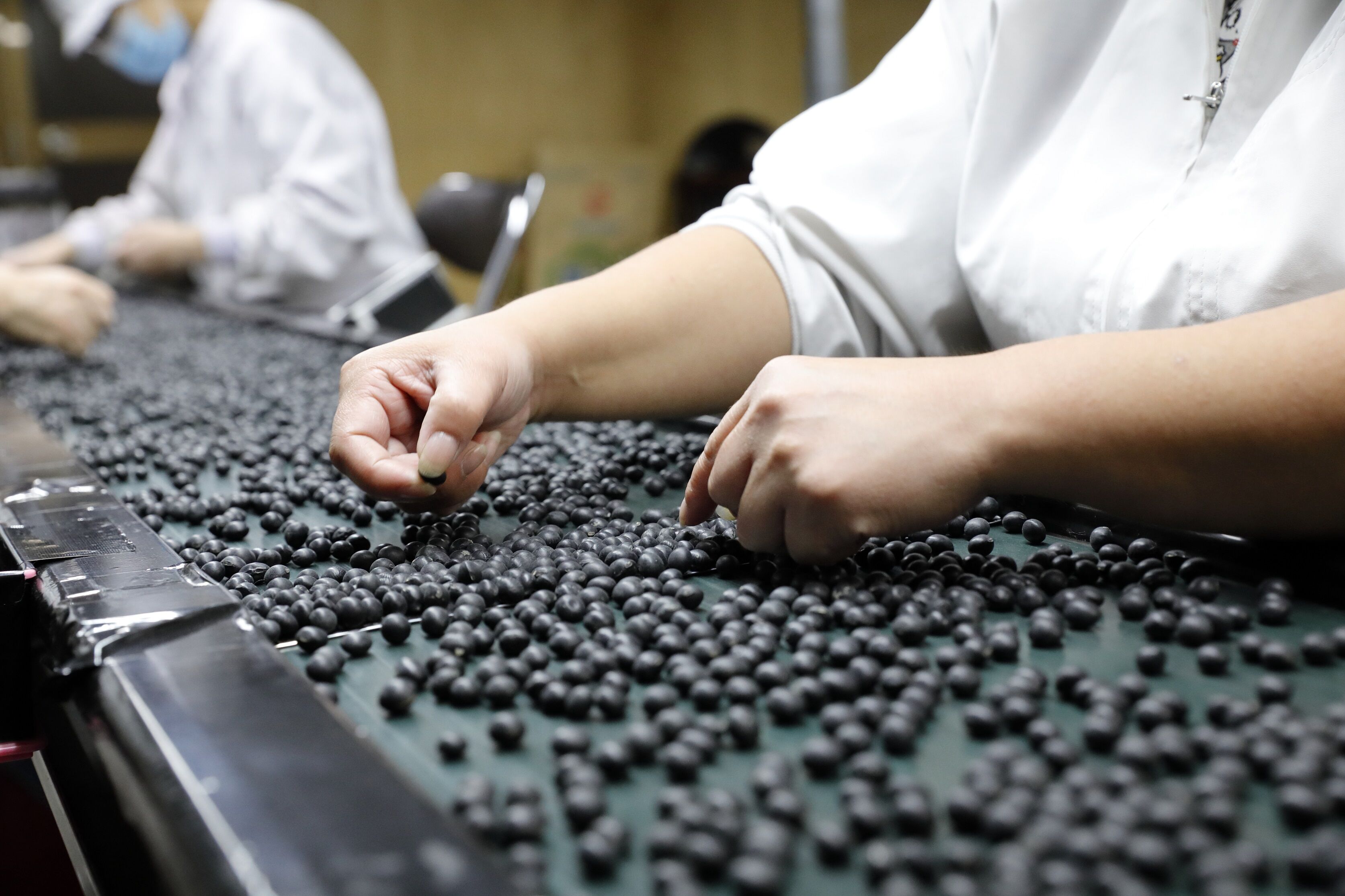 オークション限定 7年産 北海道産 黒大豆15kg original