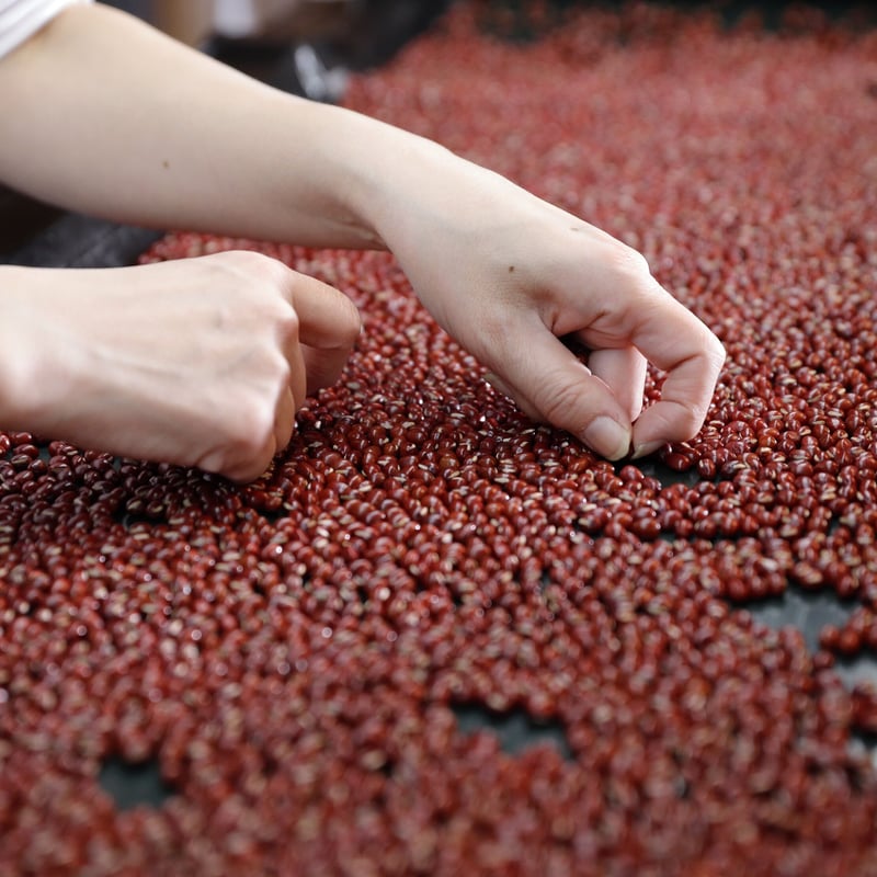R7 北海道産 あかね大納言小豆 10キロ 小豆 10kg」の人気商品一覧
