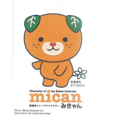 ダークみきゃんビーチサンダル　キッズ／レディース　DCM002_GRY 34/36サイズ