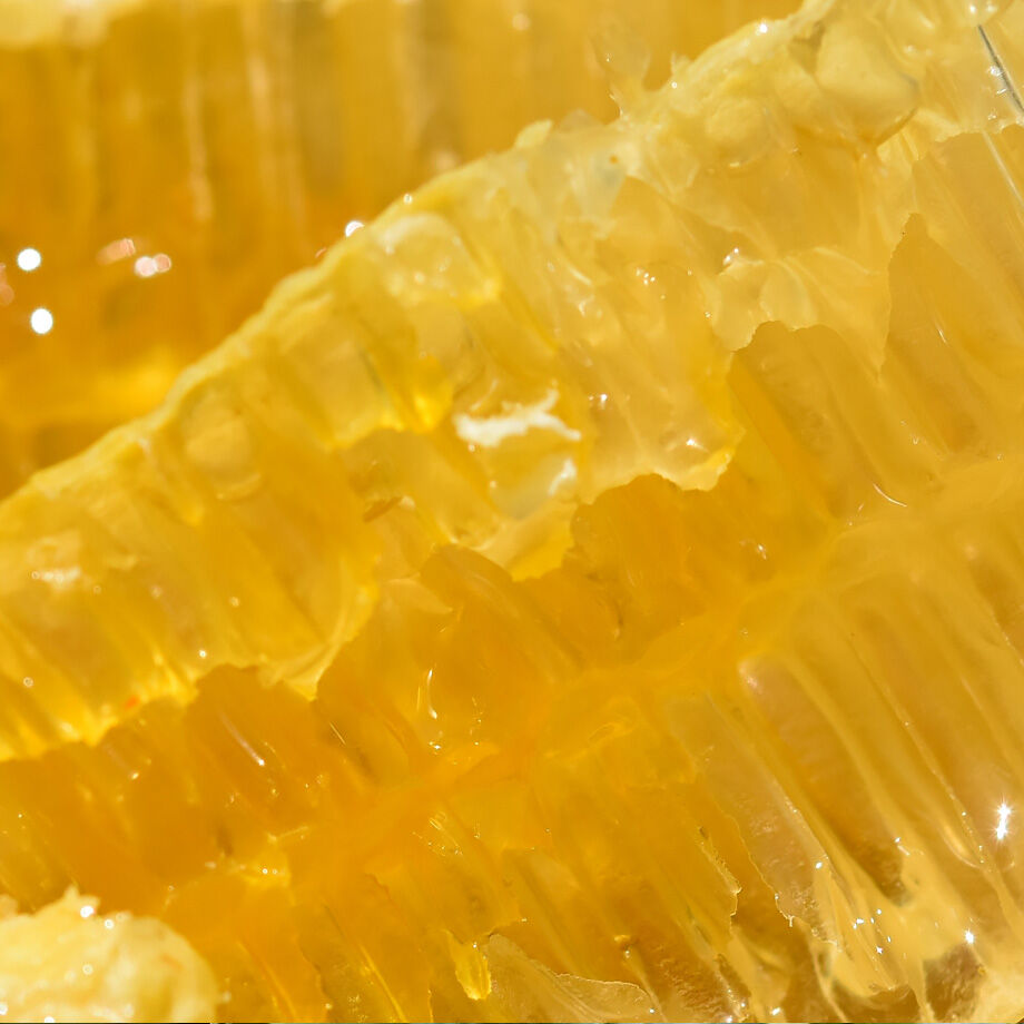 蜂蜜こまち  アカシア  1200g  ＊ 横手養蜂園 蜂蜜こまち アカシア 1200g ＊ 横手養蜂園 国産 はちみつ