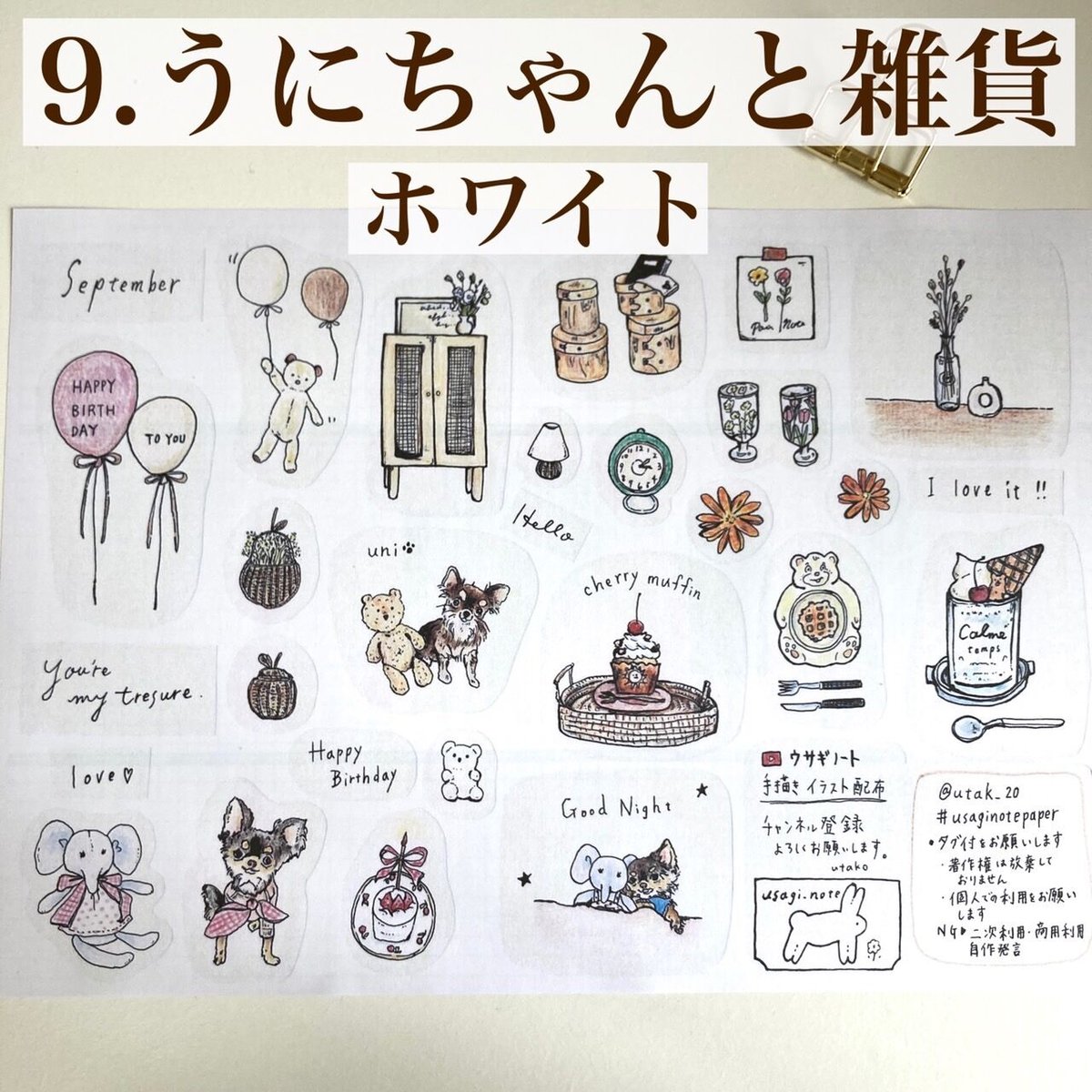 9.【9月イラストペーパー】ホワイト/ウニちゃんと雑貨🐾