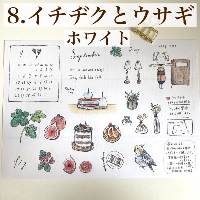8.【9月イラストペーパー】ホワイト/イチヂクとウサギ