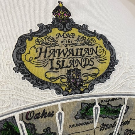 Made in USA 90s Hanes Hawaii souvenir sweatshirt