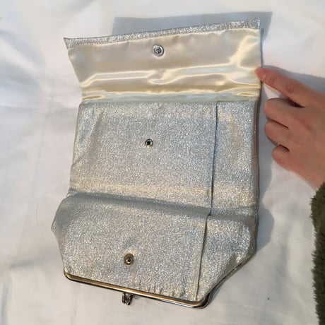 Silver purse