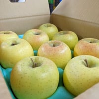 シナノゴールド　5kg箱
