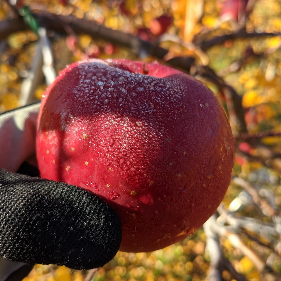 6074111fd263f0316317dbfe