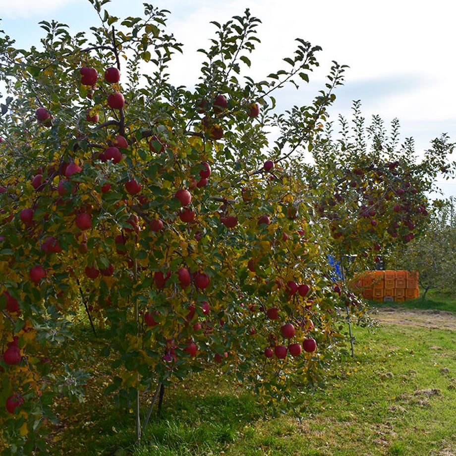 6074111fd263f0316317dbfe