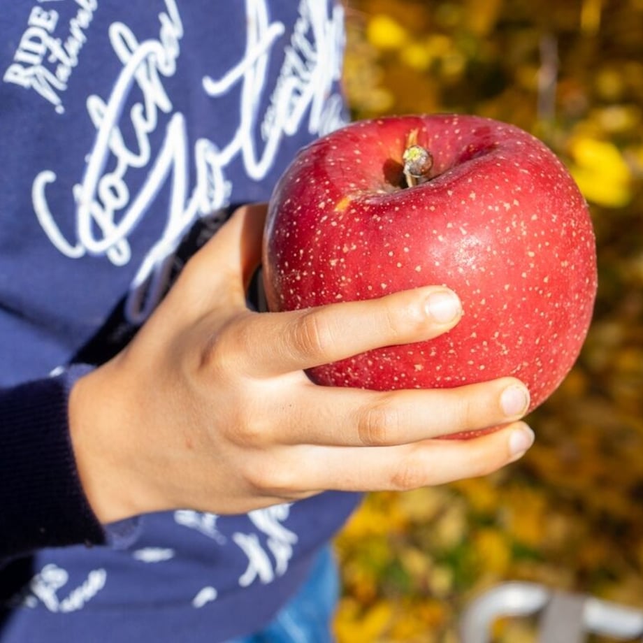 6074111fd263f0316317dbfe