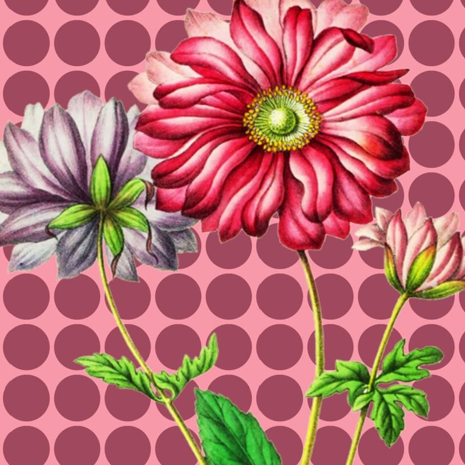 626a212bb049a362914fe269