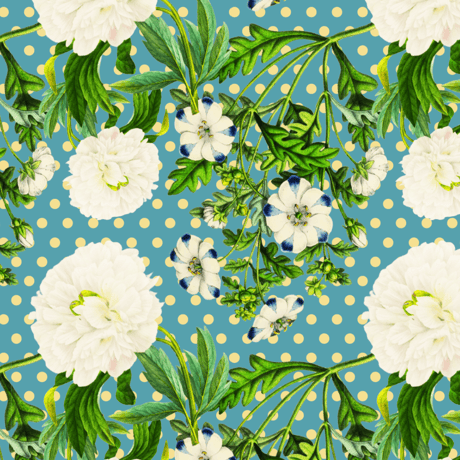 練習用ファルダ | STORES