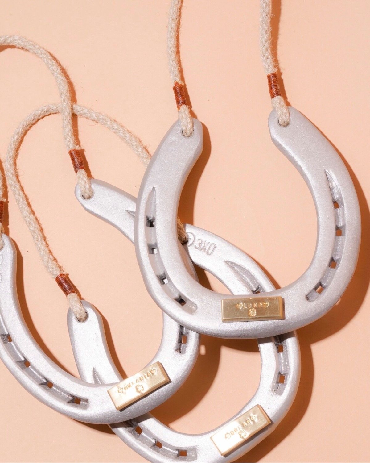 Farm Used Horseshoe Wall Hanging | NASU FARM VI