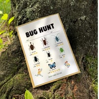 昆虫採集ツアー「BUG HUNT🐞」チケット