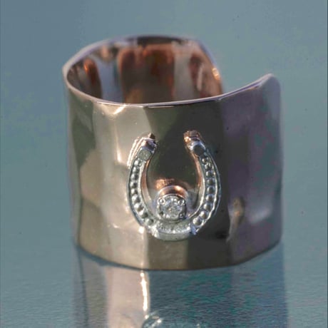 Farm Horseshoe Earcuff