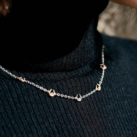 MultiColor Horseshoe Necklace / Bracelet