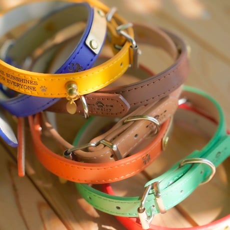 ENGRAVE DOG COLLAR