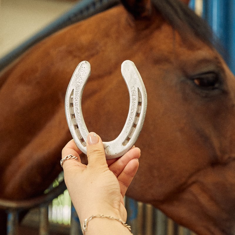 Farm Used Horseshoe | NASU FARM VILLAGE ONLINE