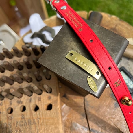 ENGRAVE DOG COLLAR