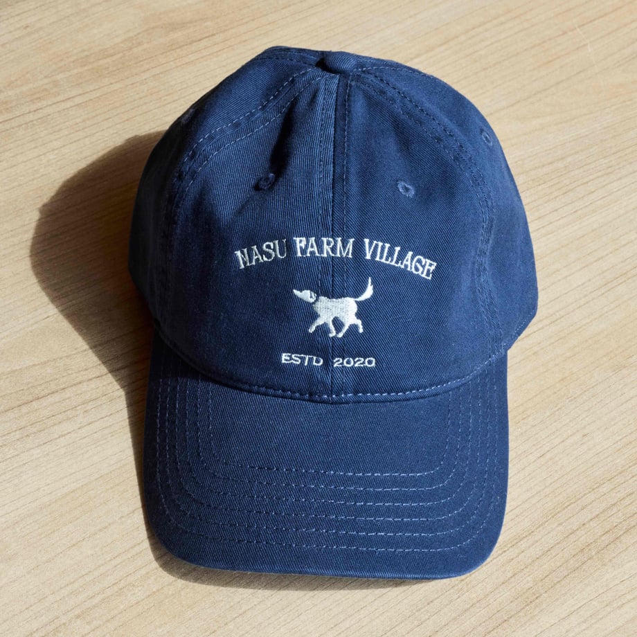 69afc8d93097d7160188c05a