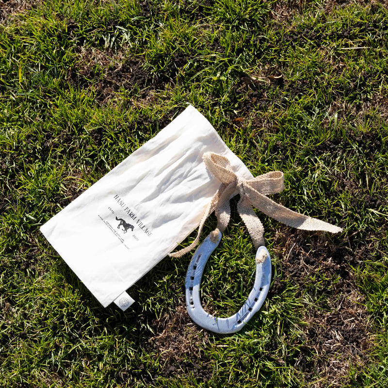 Farm Used Horseshoe | NASU FARM VILLAGE ONLINE