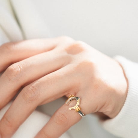 Signet Horseshoe Ring / Pinky Ring