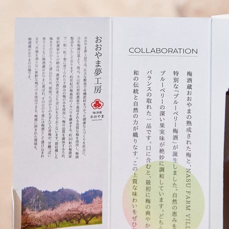 BLUEBERRY UMESHU