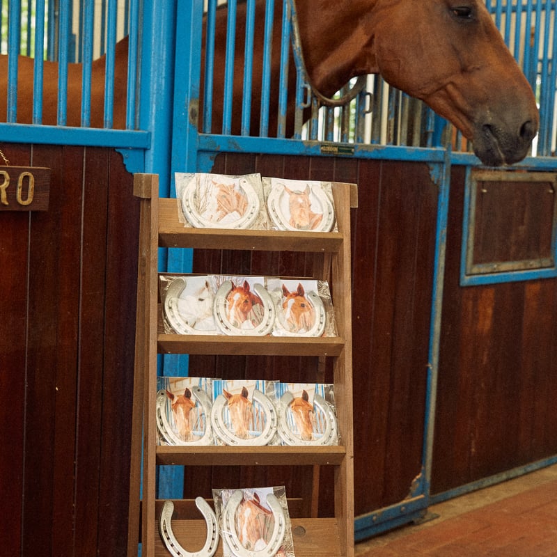 Farm Used Horseshoe | NASU FARM VILLAGE ONLINE