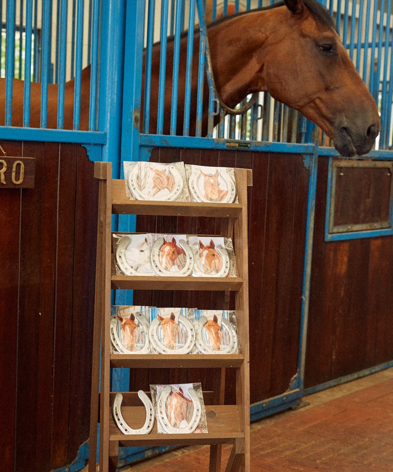 Farm Used Horseshoe | NASU FARM VILLAGE ONLINE
