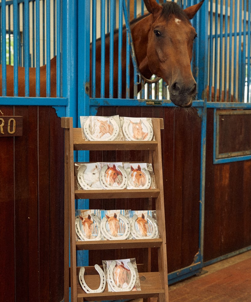 専用出品 nasufarm様 5kg Farm Used Horseshoe | NASU FARM