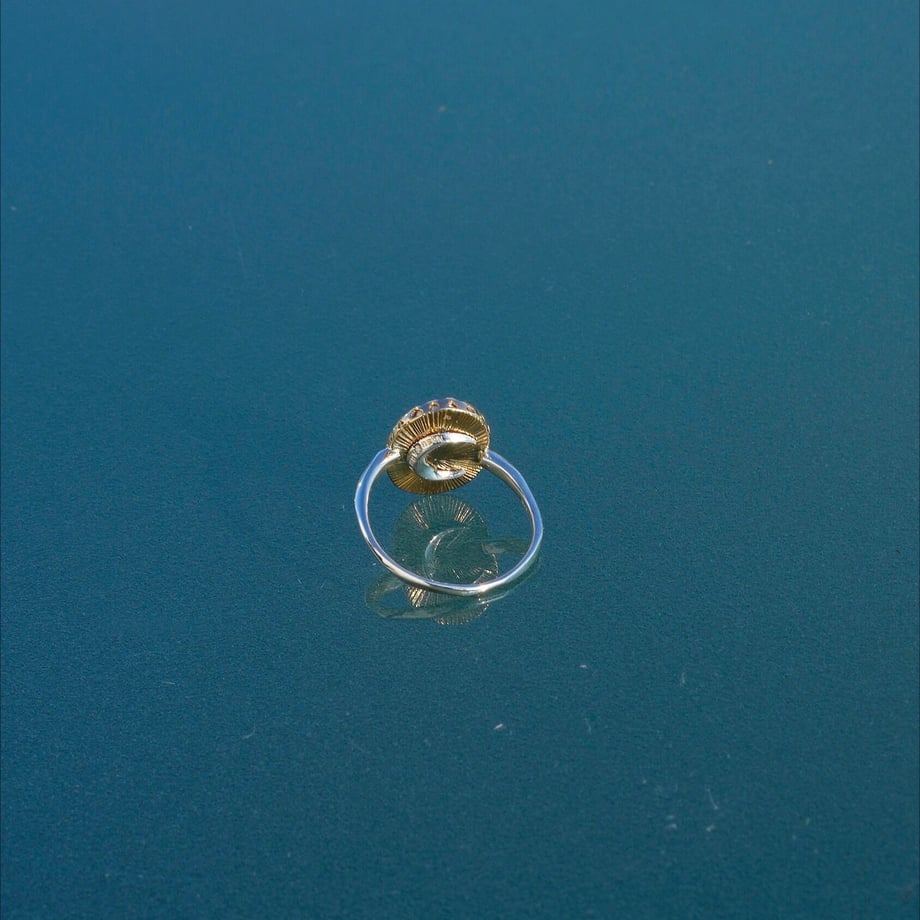 637086604ff8c21de546ca85