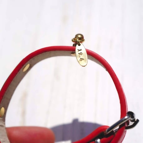 ENGRAVE DOG COLLAR