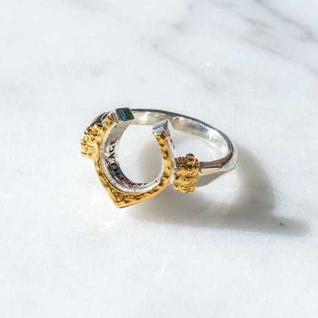 Signet Horseshoe Ring / Pinky Ring