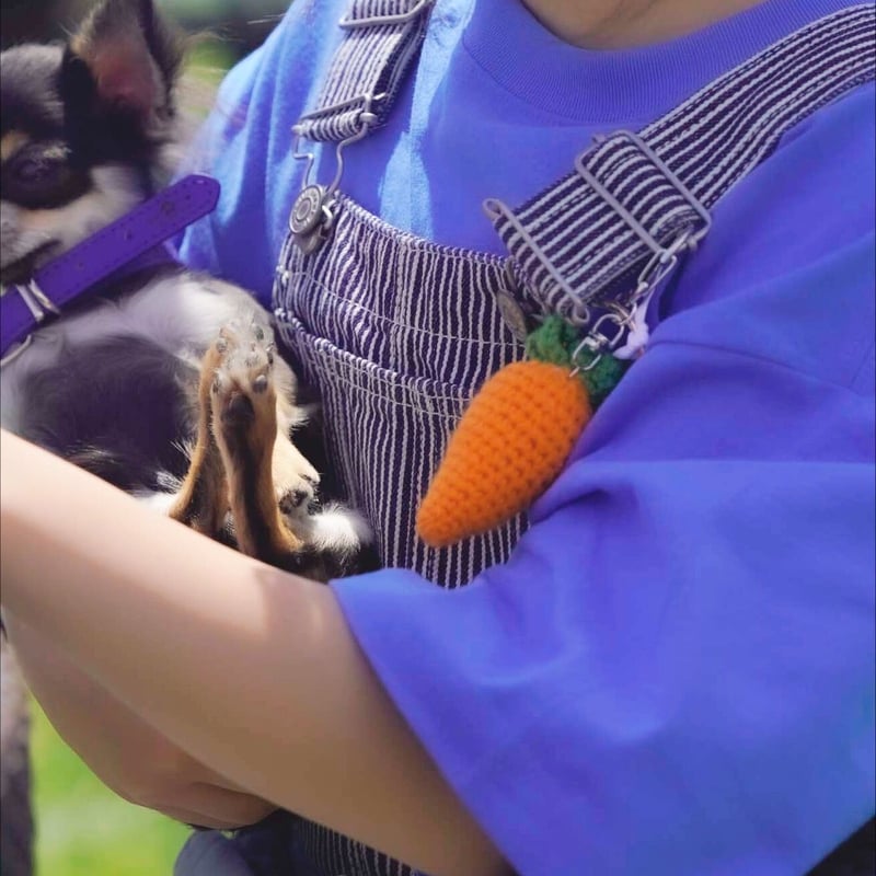 CARROT KEY CHAIN | NASU FARM VILLAGE ONLINE STORE