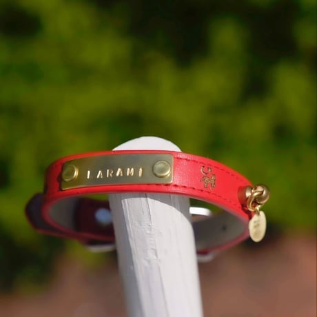 ENGRAVE DOG COLLAR