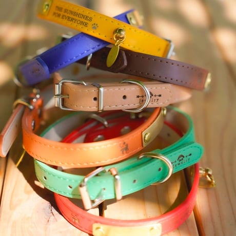 ENGRAVE DOG COLLAR