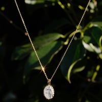FARM MEDALLION PENDANT NECKLACE  - K18 gold chain