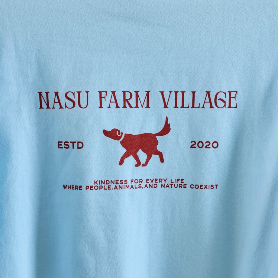 69afc4759183251f86271a49
