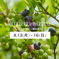 ブルーベリー摘み取り【8/13(木)〜8/16(日)】チケット