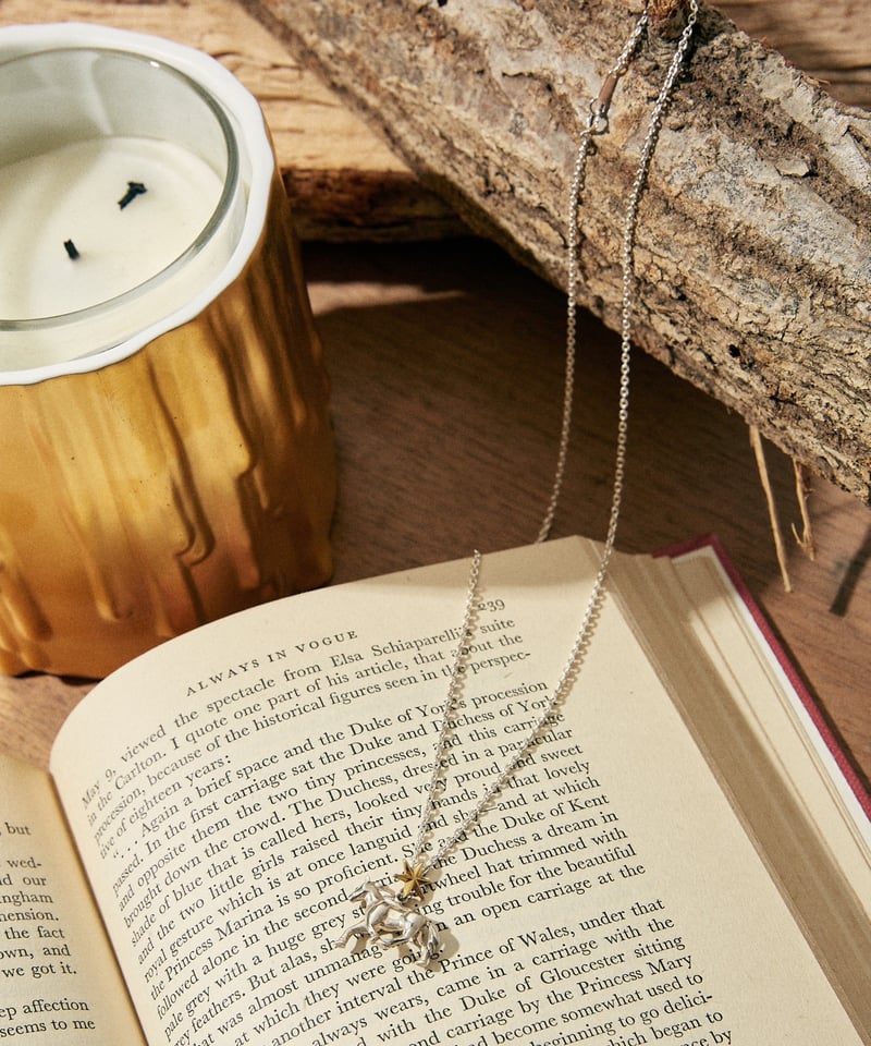 ONE STAR HORSE SILVER NECKLACE TOP | NASU FARM