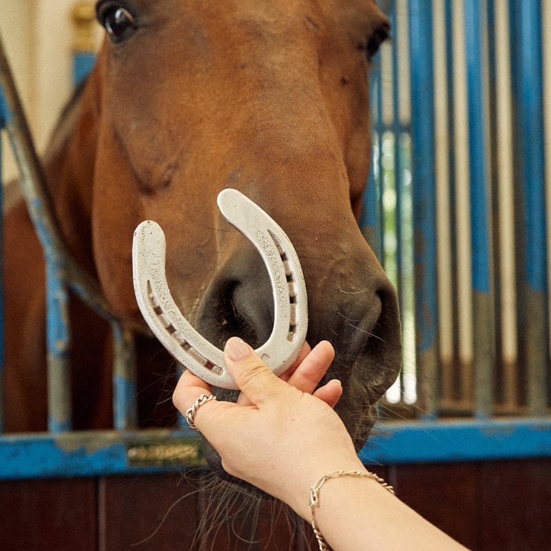 Farm Used Horseshoe | NASU FARM VILLAGE ONLINE