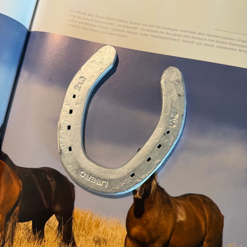 Farm Used Horseshoe | NASU FARM VILLAGE ONLINE