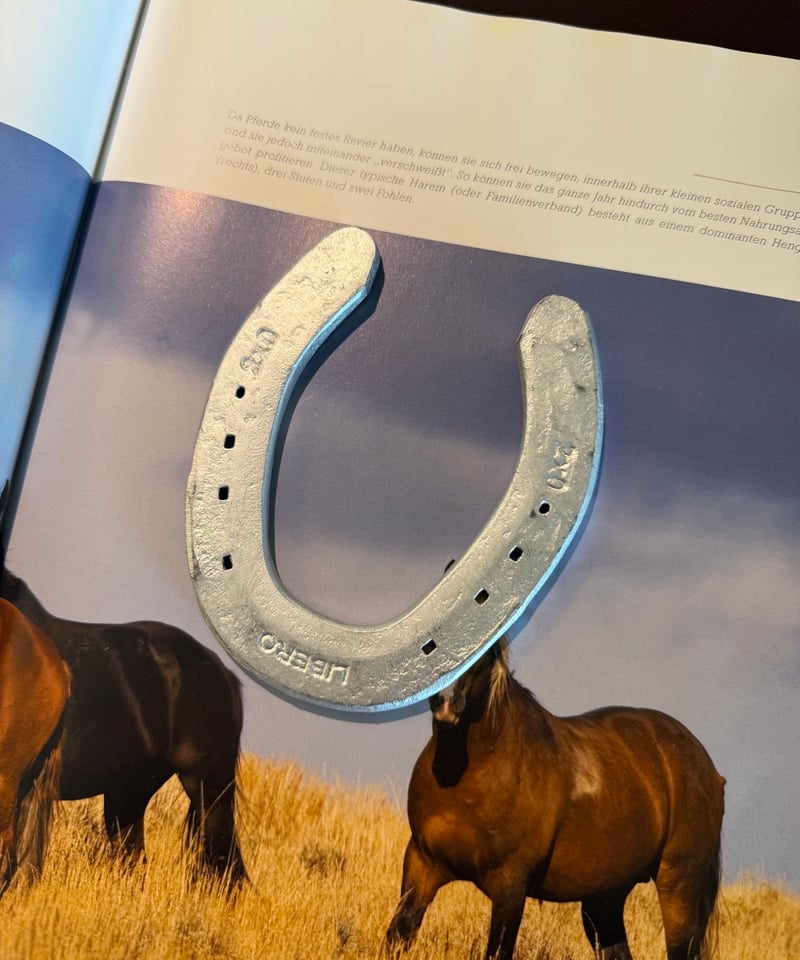 専用出品　nasufarm様　5kg Farm Used Horseshoe | NASU FARM VILLAGE ONLINE