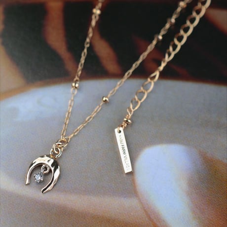 One Diamond Horseshoe Necklace