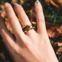 Farm Mutual Ring
