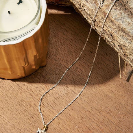 ONE STAR HORSE SILVER NECKLACE TOP