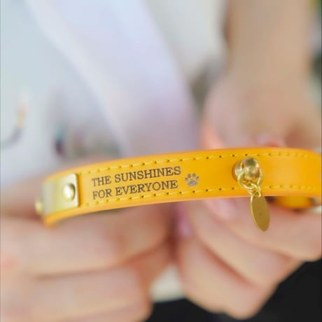 ENGRAVE DOG COLLAR