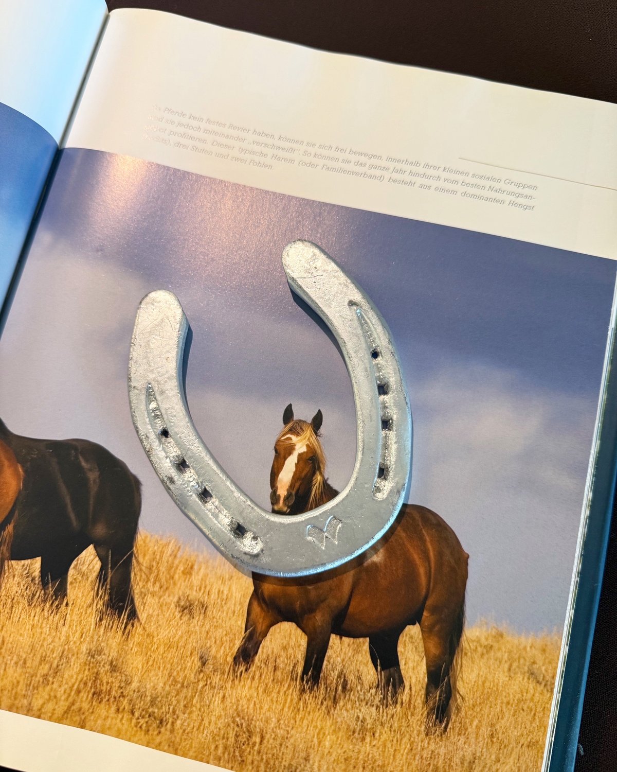 【新品未使用】NASU FARM VILLAGE オリジナルブランケット 那須ファームヴィレッジ新品未使用ブランケット NASU FARM